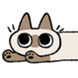 :azukisan038: :azukisan038: