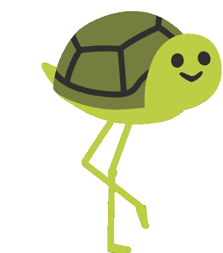 :turtle2:
