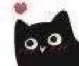 :blackcat_love:
