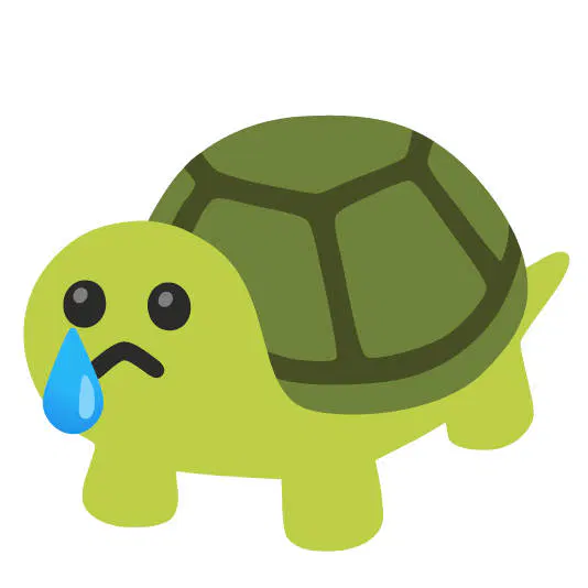 :turtle_tear: